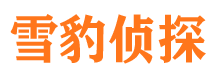 商河市婚姻出轨调查